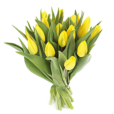 Букет из 15 желтых тюльпанов 28774