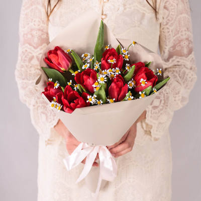 Небольшой букет из красных тюльпанов с ромашками 46336