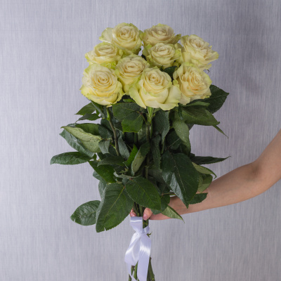 Букет из 9 крупных Белых роз Эквадор 60 см 36401