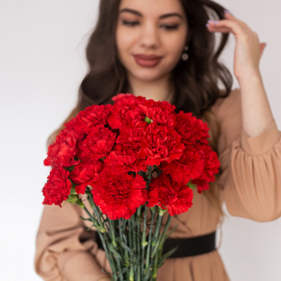 Гвоздика красная ПОШТУЧНО N 24