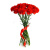 Букет из 16 красных гвоздик арт. 60624