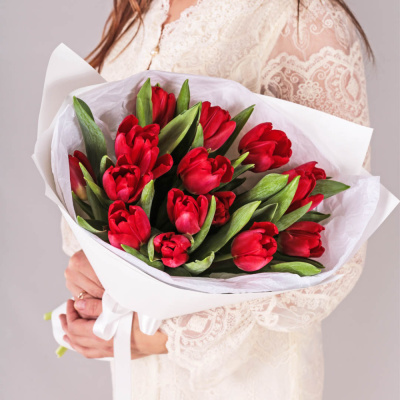 Букет из 15 красных тюльпанов 28405